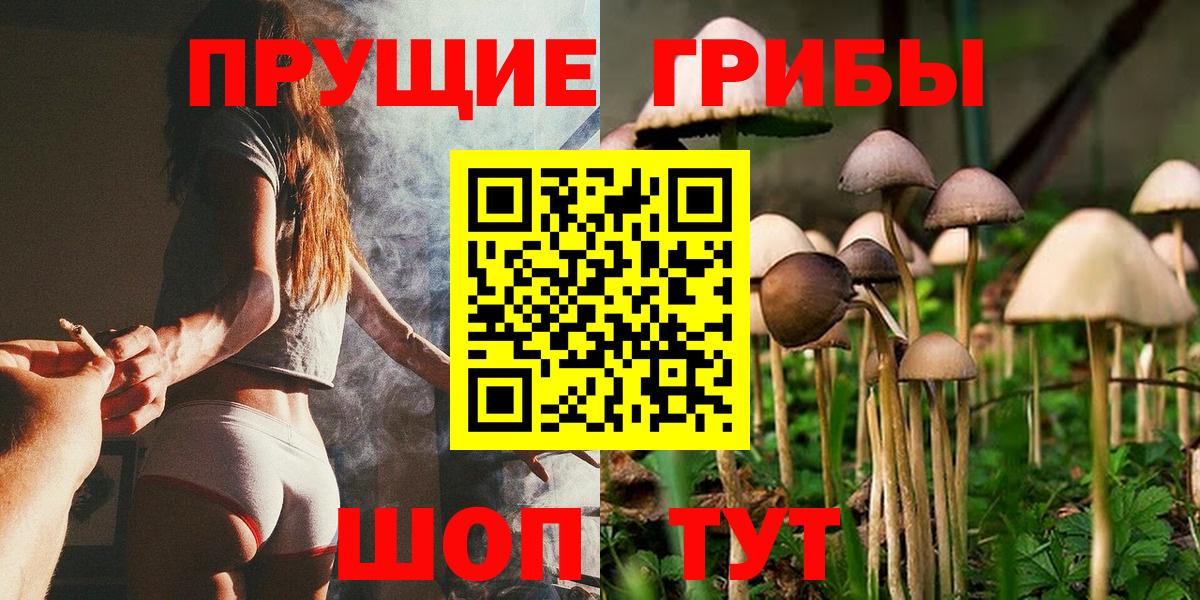 Юрга  Псилоцибиновые грибы Magic Shrooms  Вход с VPN 